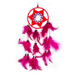 Macrame Pink and Red Dreamcatcher